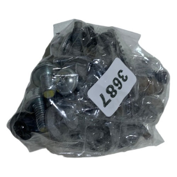 Kit Parafusos Porta Traseira Esquerda New Fiesta Mex 2011