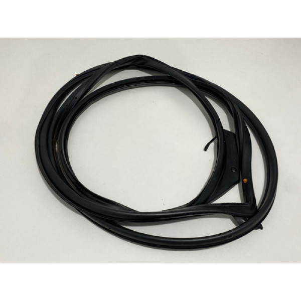 Borracha Porta Dianteira Direita Hyundai Elantra 2013 Det