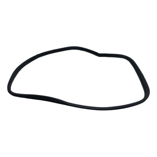  Borracha Vedação Porta Dianteira Esq Renault Sandero 2009