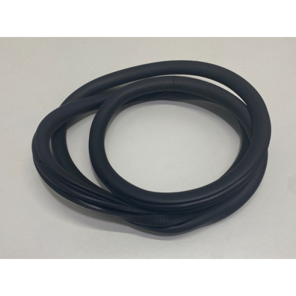 Borracha Porta Traseira Direita Peugeot 208 2020 2021 2022