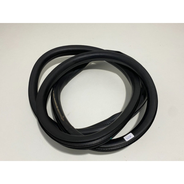 Borracha Porta Traseira Direita Peugeot 208 2017