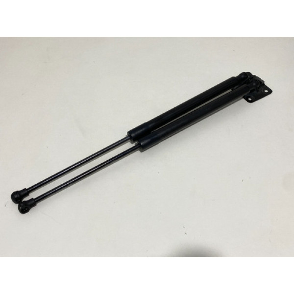 Amortecedor Tampa Traseira Peugeot 208 2017 Par