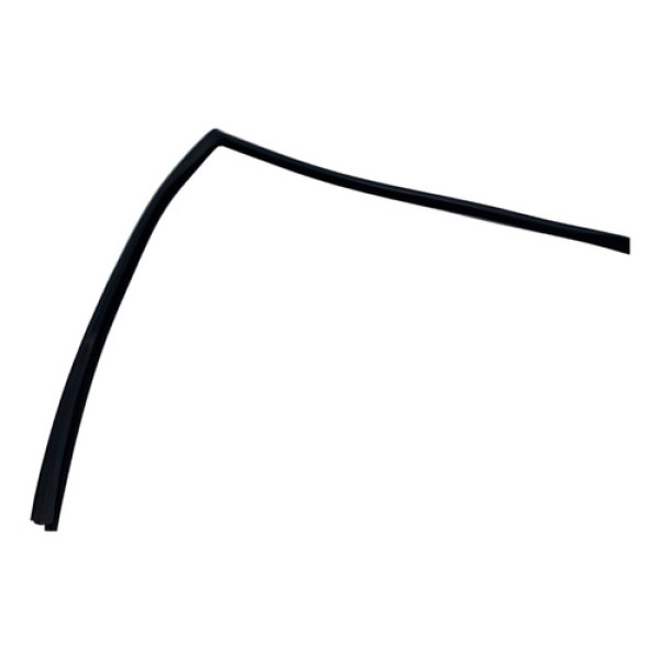 Borracha Canaleta Porta Tras Esquerda Ford New Fiesta 2015