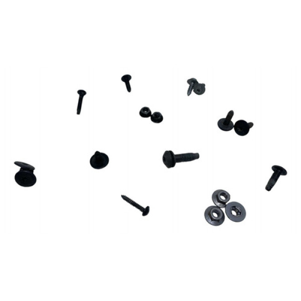  Parafusos Porta Dianteira Esquerda Renault Sandero 1.6 2009