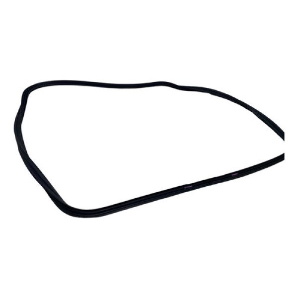 Borracha Vedação Porta Dianteira Dir Renault Sandero 2008